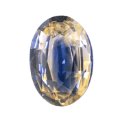 Curiosities / Bi-Color