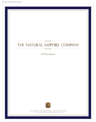 Sample 3d scan report dust cover